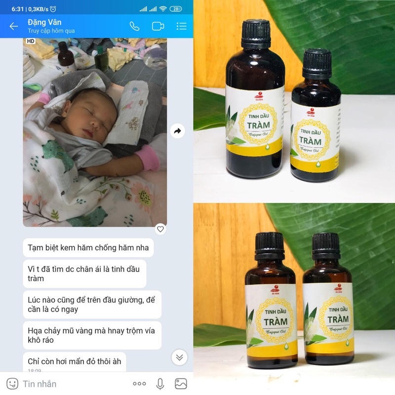 Tinh Dầu Tràm – 50ml - Ảnh 5